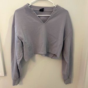 Pacsun Cropped V-Neck Sweatshirt